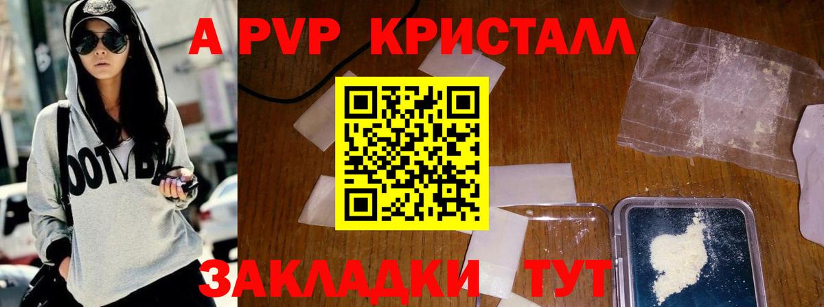 A-PVP СК Вологда