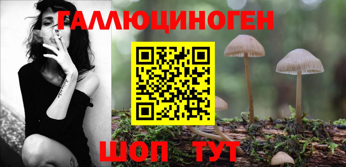 Галлюциногенные грибы Cubensis Вологда